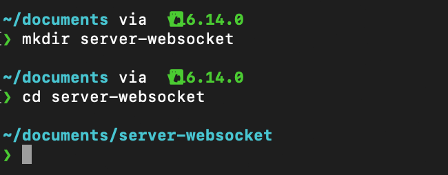 Create a folder for your WebSocket
