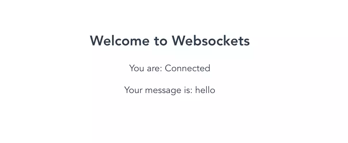 Image of a Vue.JS websocket server